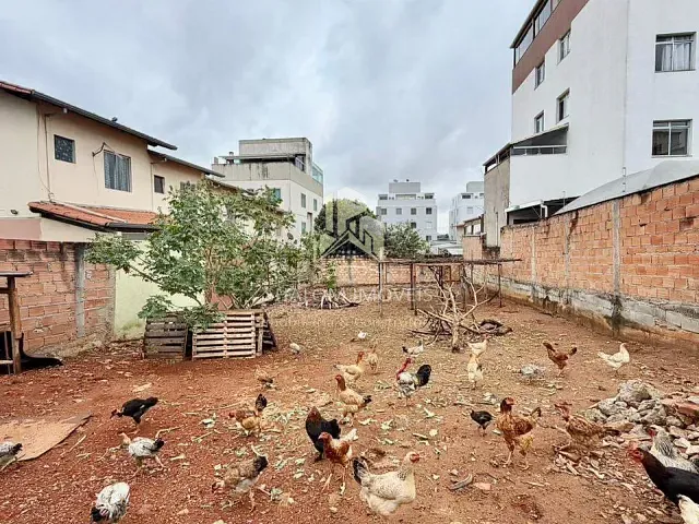 Terreno com 360m², à venda, no bairro Pedra Azul em Contagem