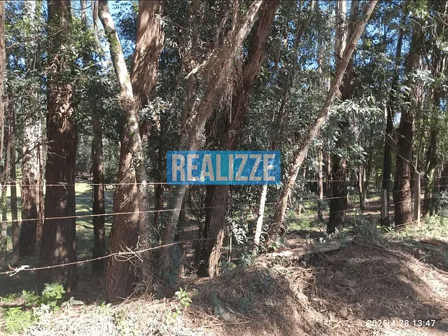 Terreno com 14717m², à venda, no bairro Nova Alternativa em Marau
