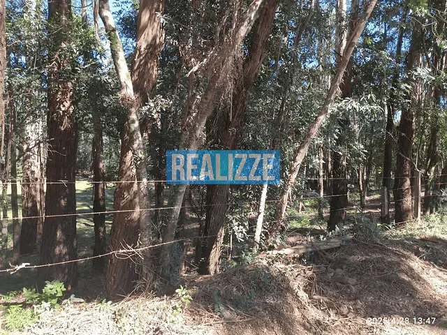 Terreno com 14717m², à venda, no bairro Nova Alternativa em Marau