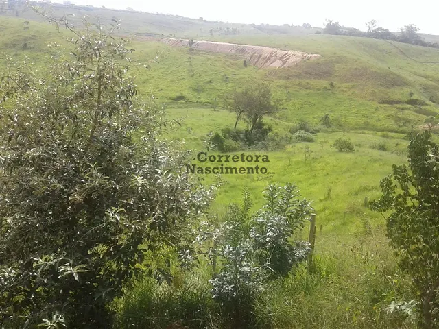 Terreno com 8000m², à venda, no bairro Jardim Paraiso em Jacareí