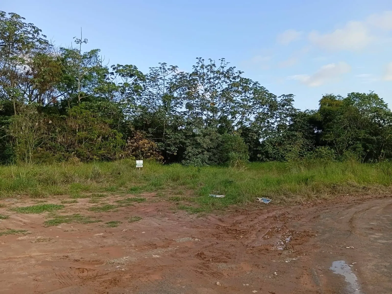 Terreno à venda, Premier, Rio Pomba, MG - foto 2