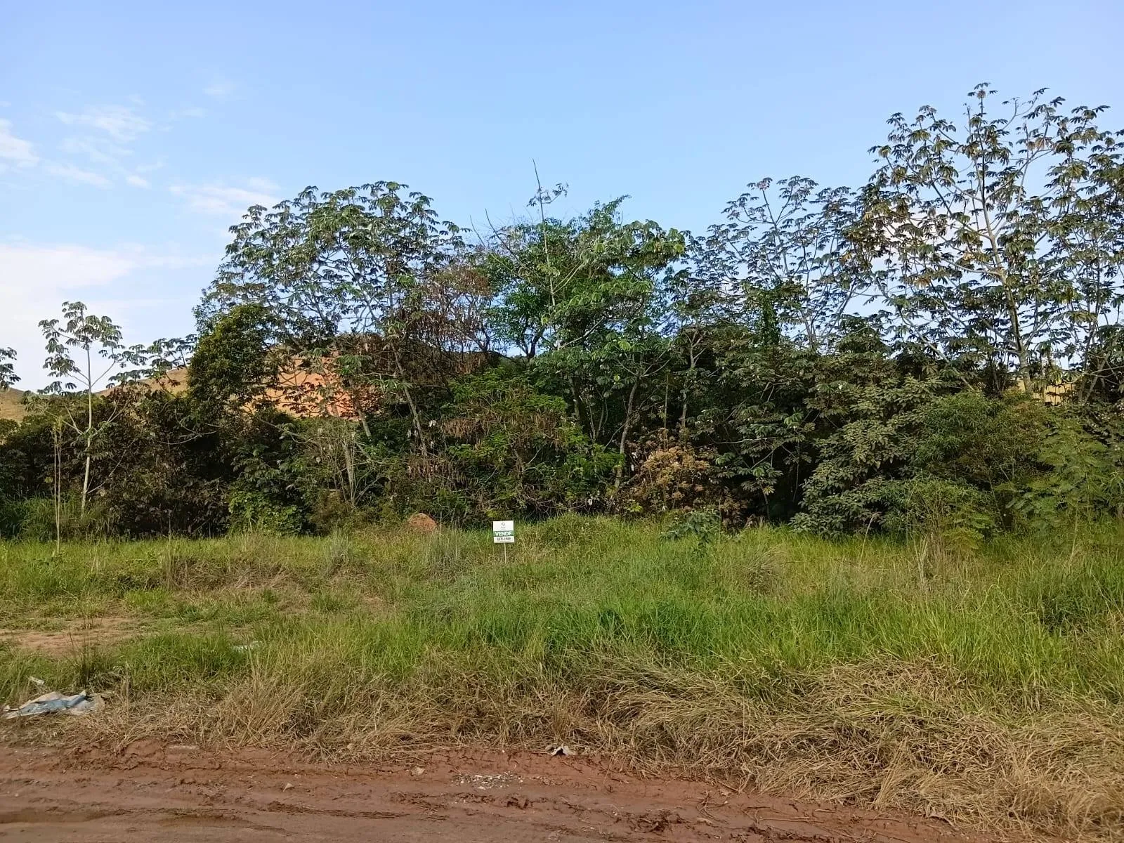 Terreno à venda, Premier, Rio Pomba, MG - foto 5