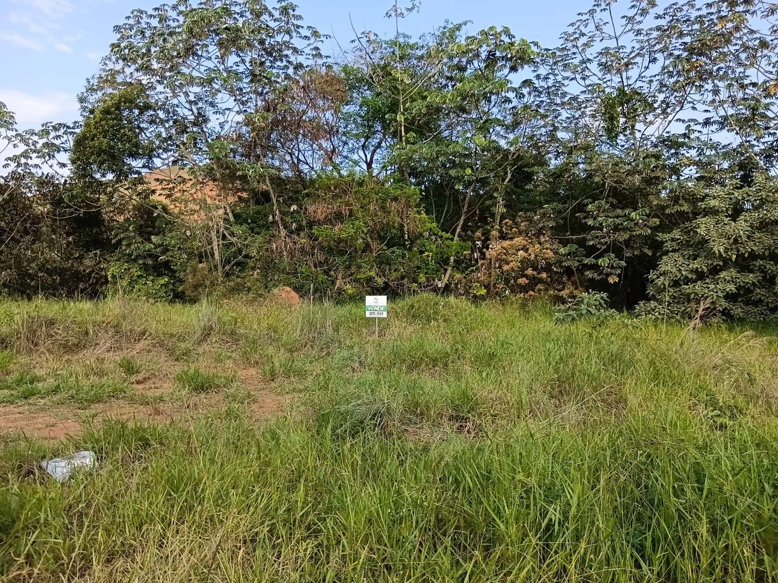 Terreno à venda, Premier, Rio Pomba, MG - foto 1