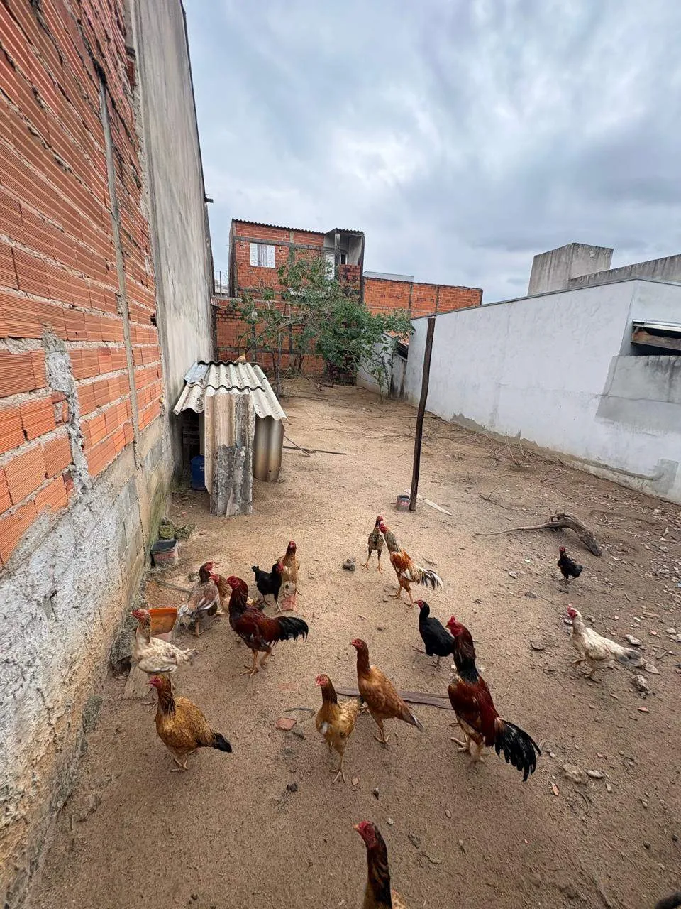 Terreno, 126 m² - Foto 4