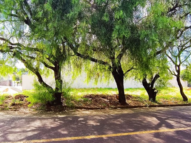 Terreno com 485m², à venda, no bairro Jardim das Mansões em Cambé