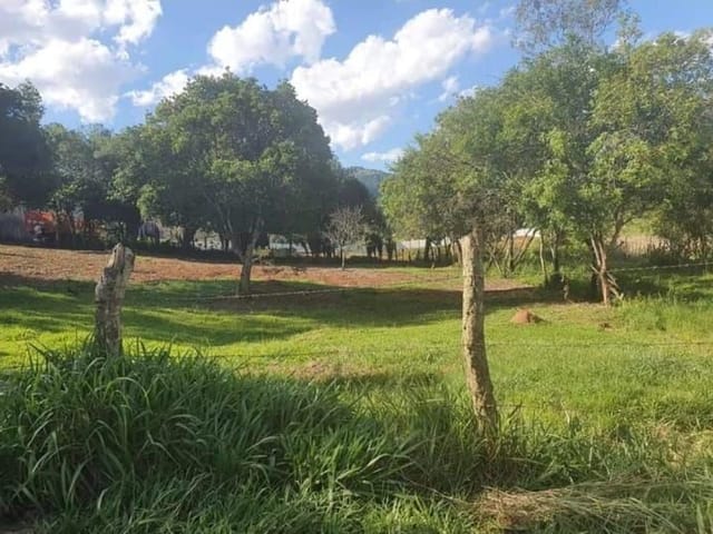 Terreno com 5000m², à venda, no bairro Rio do Peixe em Cambuí