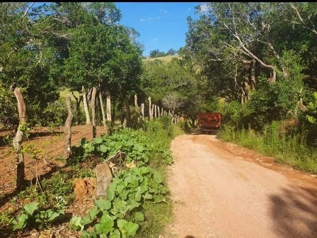 Terreno com 5000m², à venda, no bairro Rio do Peixe em Cambuí