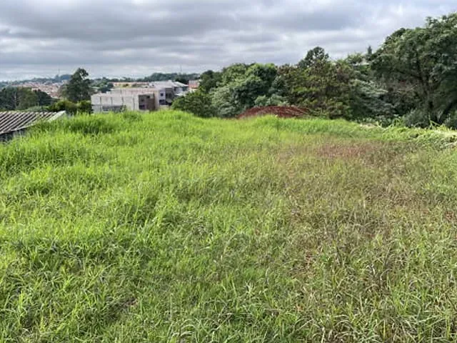 Terreno com 733m², à venda, no bairro Vila Minas Gerais em Apucarana