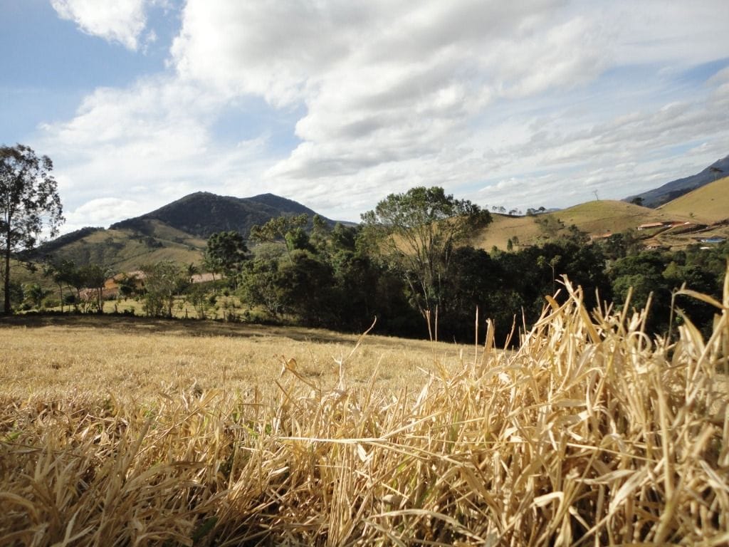 Terreno no Tijuco Preto, Maria da Fé