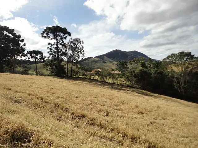 Terreno com 13791m², à venda, no bairro Tijuco Preto em Maria da Fé