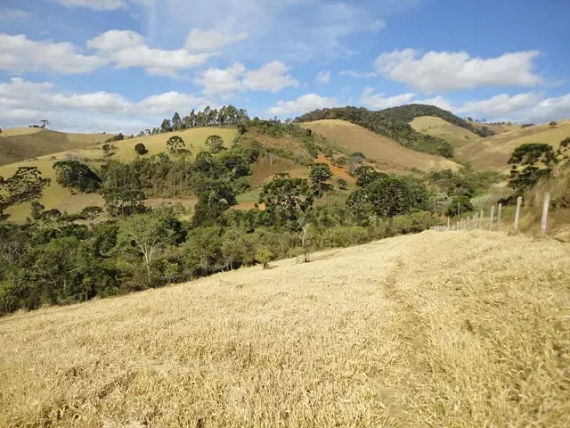 Terreno com 13791m², à venda, no bairro Tijuco Preto em Maria da Fé