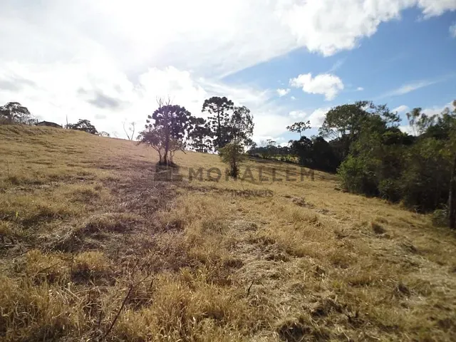 Terreno com 13791m², à venda, no bairro Tijuco Preto em Maria da Fé