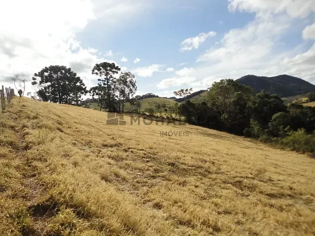 Terreno com 13791m², à venda, no bairro Tijuco Preto em Maria da Fé
