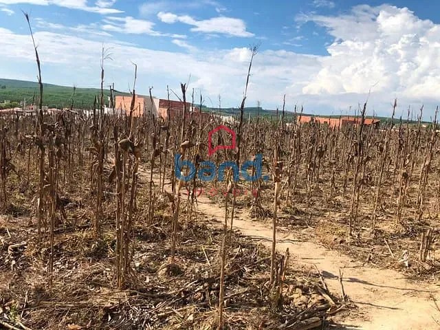 Terreno com 5000m², à venda, no bairro Residencial Olívio Barbosa em Porto Feliz