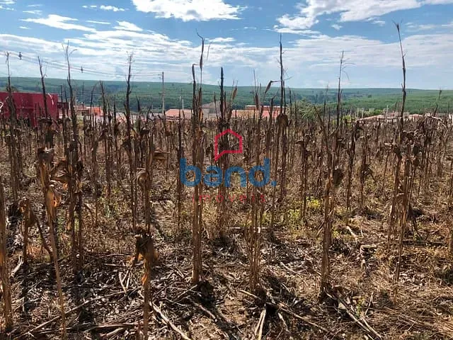 Terreno com 5000m², à venda, no bairro Residencial Olívio Barbosa em Porto Feliz