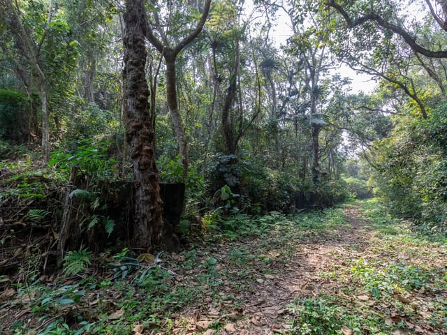 Foto do Terreno - Terreno residencial para venda em Chácara Vista Alegre, 2,913m² | Lares e Andares Imóveis