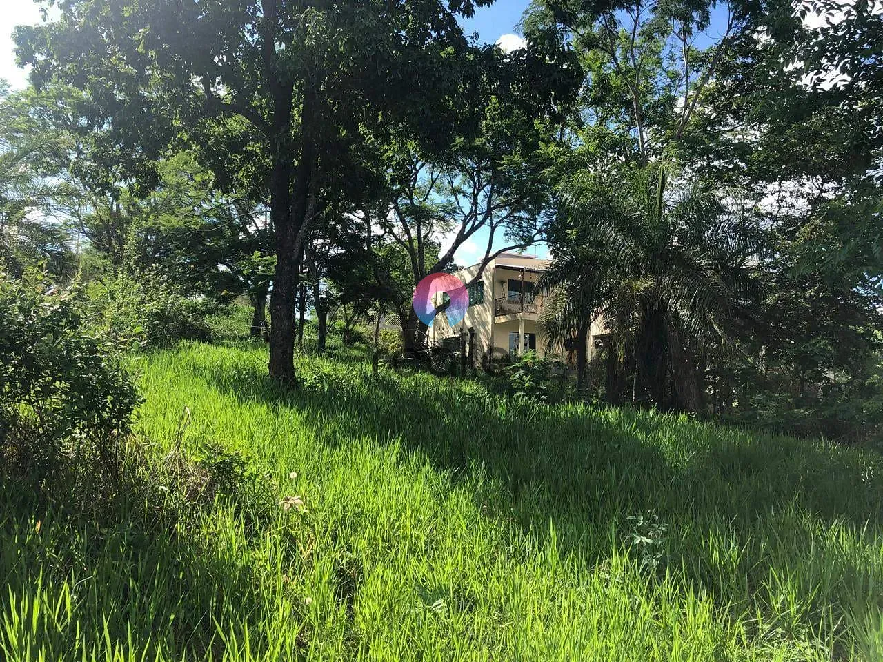 Terreno, 3 hectares - Foto 75