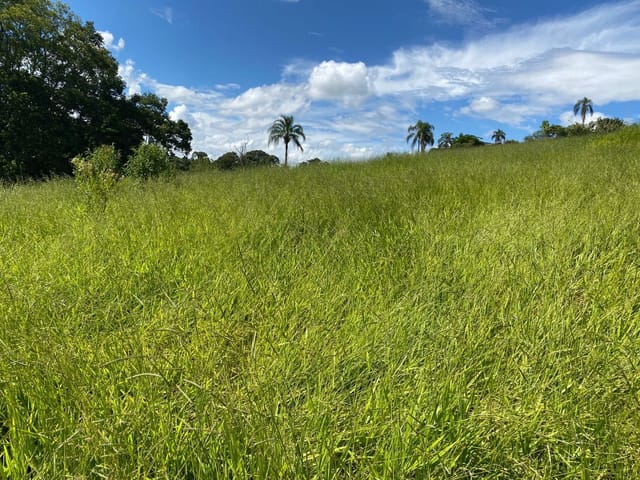 Terreno com 851m², à venda, no bairro Capela em Cambuí