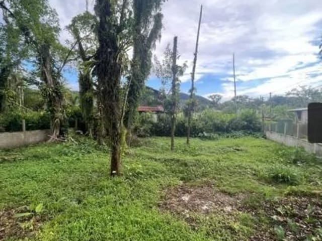 Foto do Terreno - Terreno à venda, 399 m² por R$ 270.000,00 - S Camburi - São Sebastião/SP | INDEPENDENCE NEGOCIOS IMOBILIARIOS LTDA