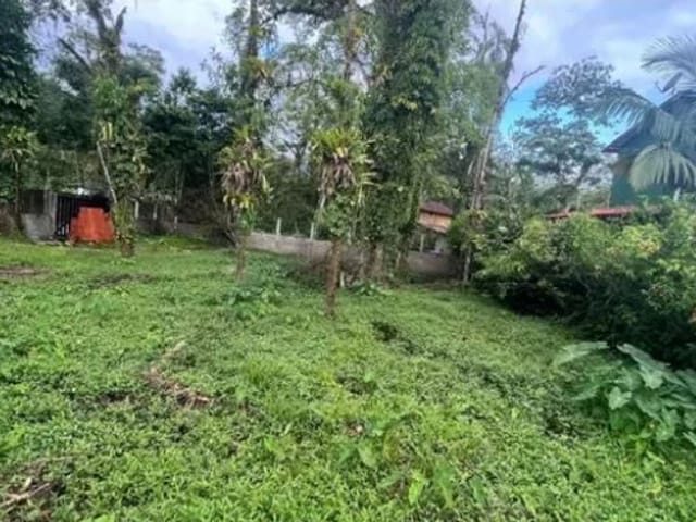 Foto do Terreno - Terreno à venda, 399 m² por R$ 270.000,00 - S Camburi - São Sebastião/SP | INDEPENDENCE NEGOCIOS IMOBILIARIOS LTDA