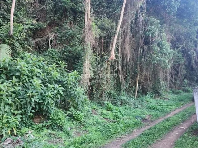 Terreno com 1020m², à venda, no bairro Albuquerque em Teresópolis