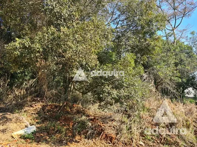 Terreno com 424m², à venda, no bairro Uvaranas em Ponta Grossa