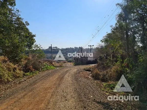 Terreno, 424 m² - Foto 6