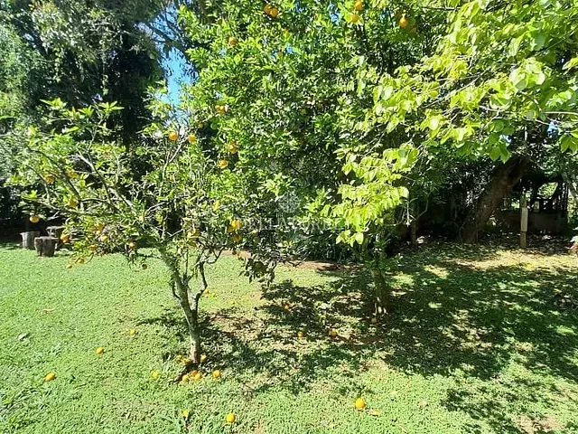 Terreno com 2292m², à venda, no bairro Vale do Paraíso em Teresópolis