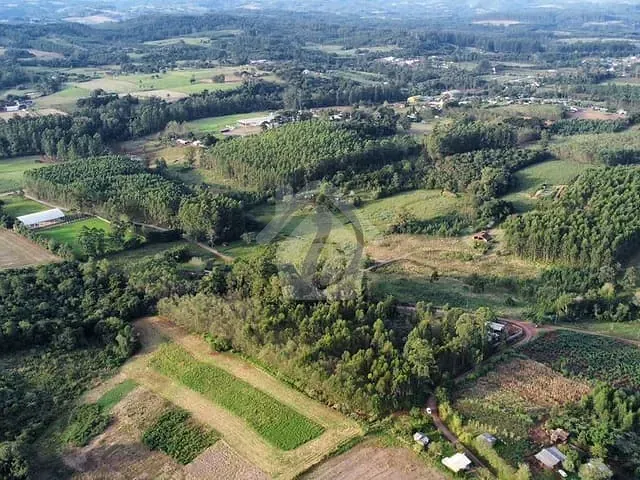 Terreno com 21300m², à venda, no bairro Interior em Paverama
