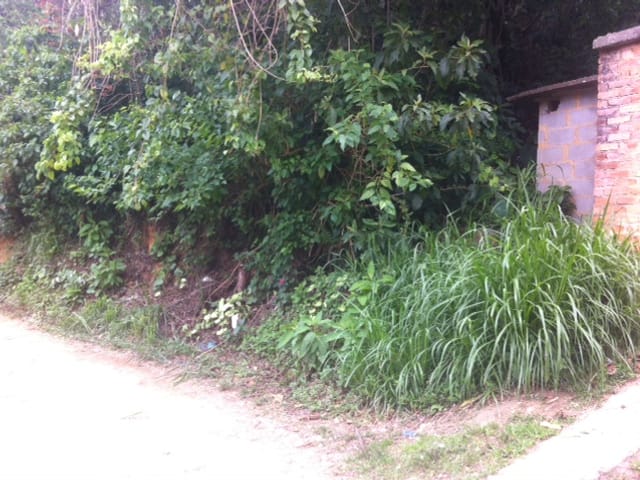 Terreno com 16355m², à venda, no bairro Bingen em Petrópolis