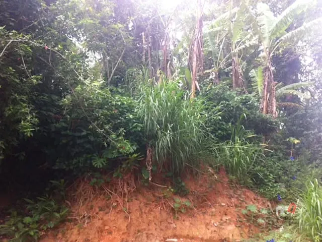 Terreno com 16355m², à venda, no bairro Bingen em Petrópolis