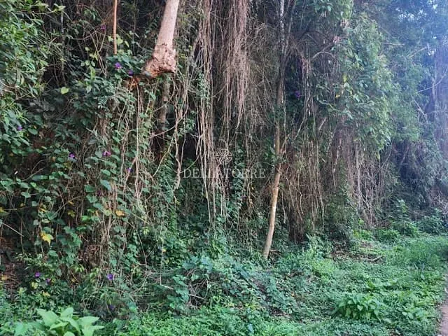 Terreno com 1123m², à venda, no bairro Albuquerque em Teresópolis