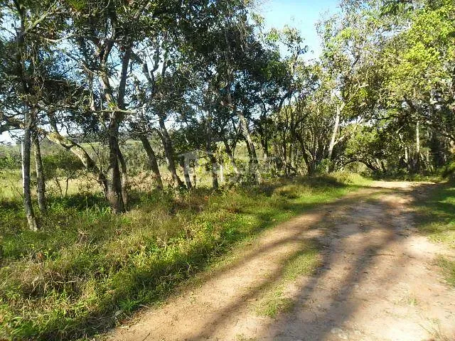 Terreno com 98000m², à venda, no bairro Cocuera em Mogi das Cruzes