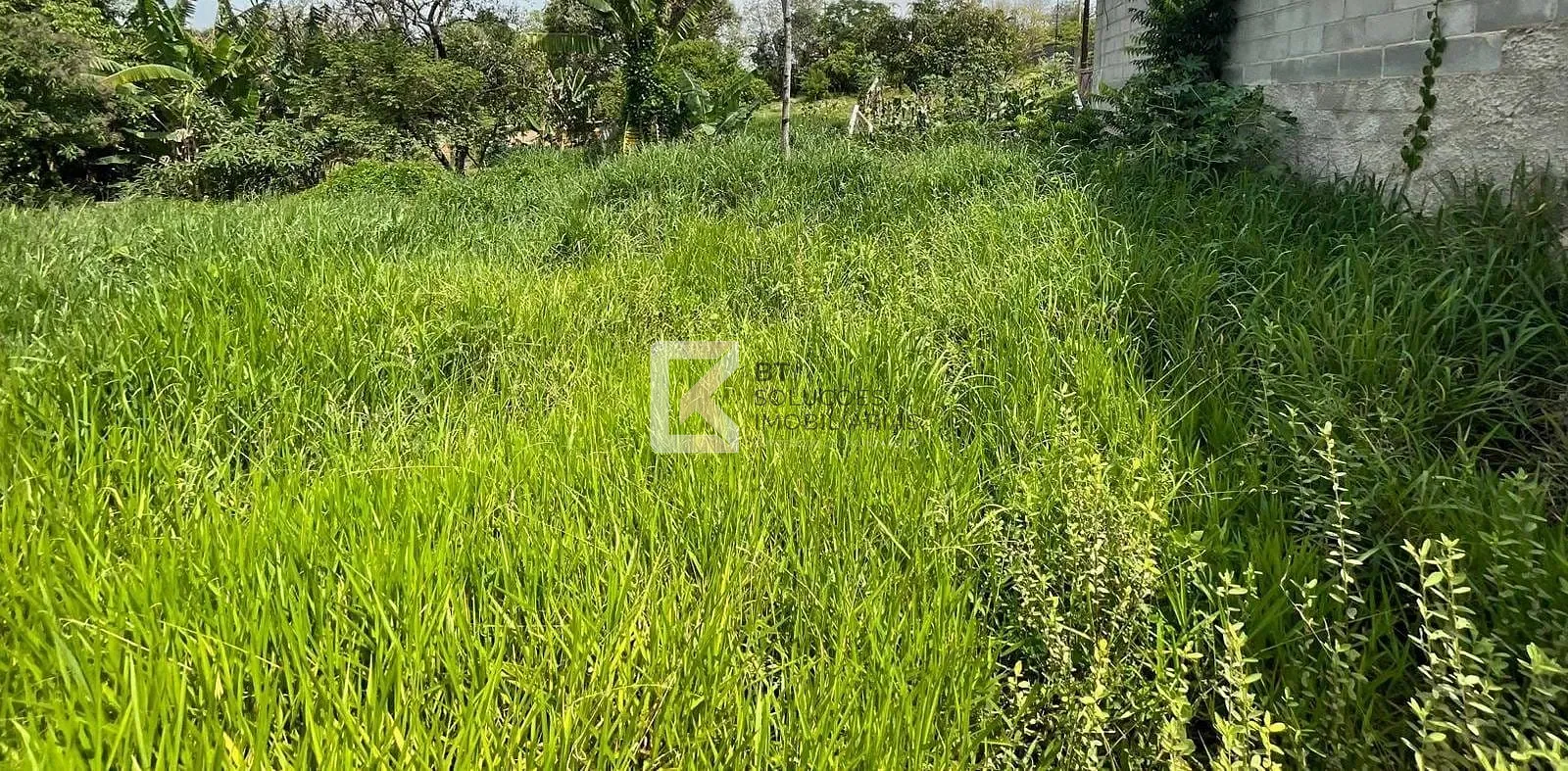 Terreno, 1000 m² - Foto 1