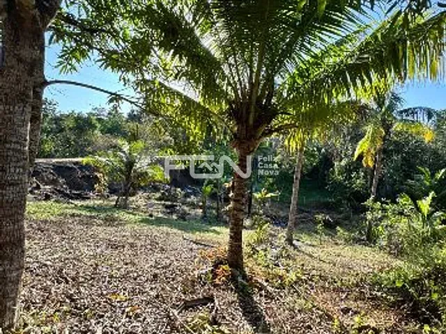 Terreno com 1250m², à venda, no bairro Barra do Pojuca (Monte Gordo) em Camaçari