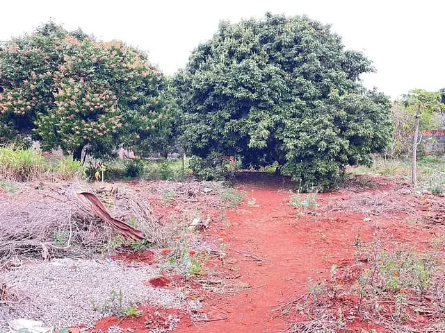 Terreno com 1880m², à venda, no bairro Vila Oliveira em Rolândia