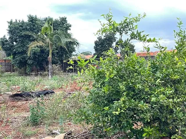 Terreno com 1880m², à venda, no bairro Vila Oliveira em Rolândia