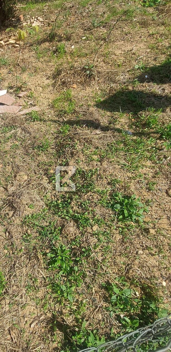 Terreno, 250 m² - Foto 2