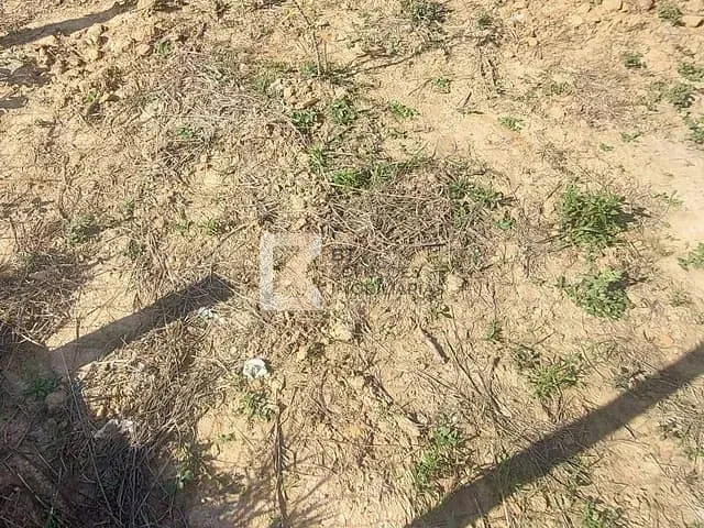 Terreno com 250m², à venda ou para alugar, no bairro Jardim Paulista I em Indaiatuba