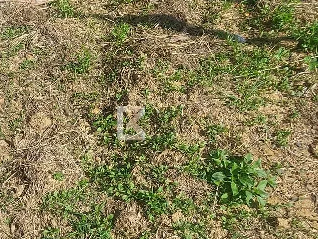 Terreno com 250m², à venda ou para alugar, no bairro Jardim Paulista I em Indaiatuba