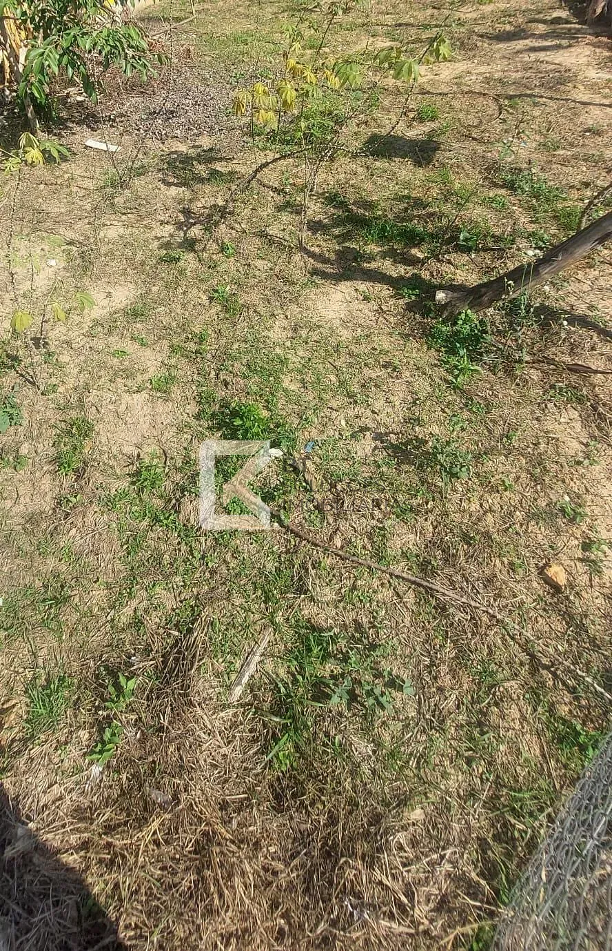 Terreno, 250 m² - Foto 4