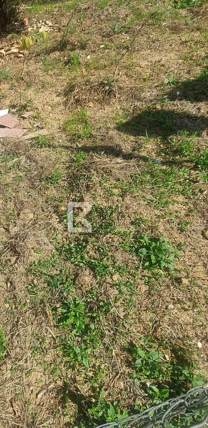Terreno, 250 m² - Foto 2