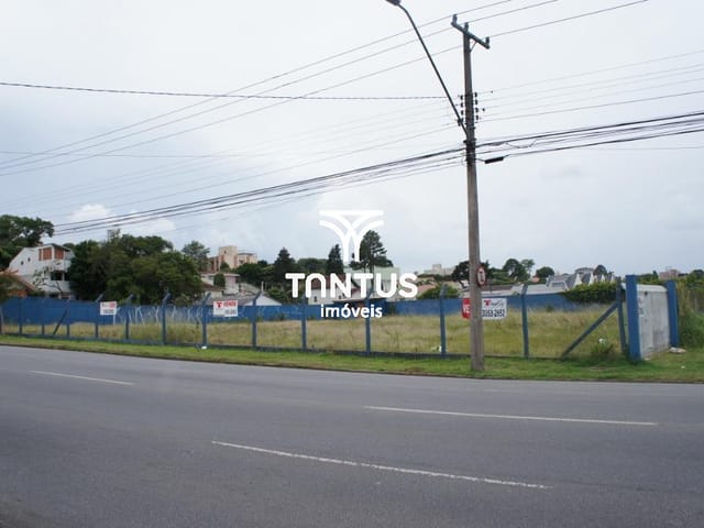 Terreno à venda, no bairro Tingui em Curitiba
