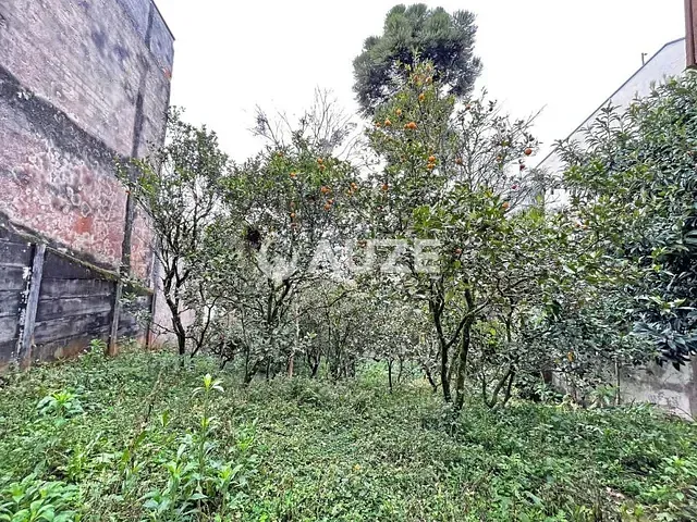 Terreno com 486m², à venda, no bairro Vista Alegre em Curitiba