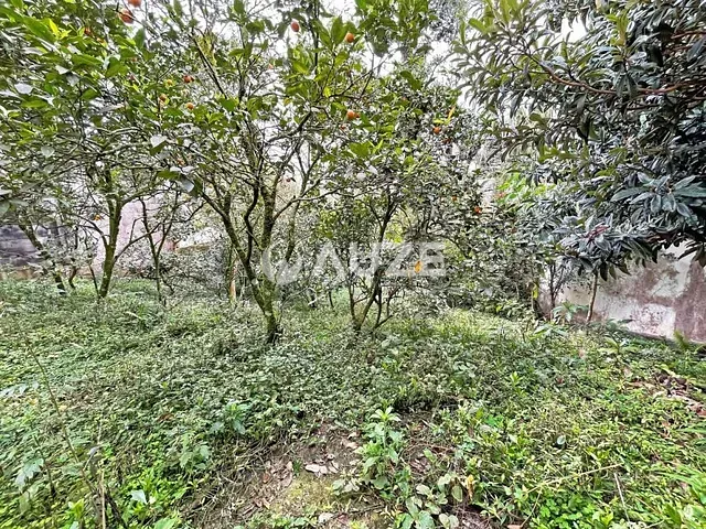 Terreno com 486m², à venda, no bairro Vista Alegre em Curitiba