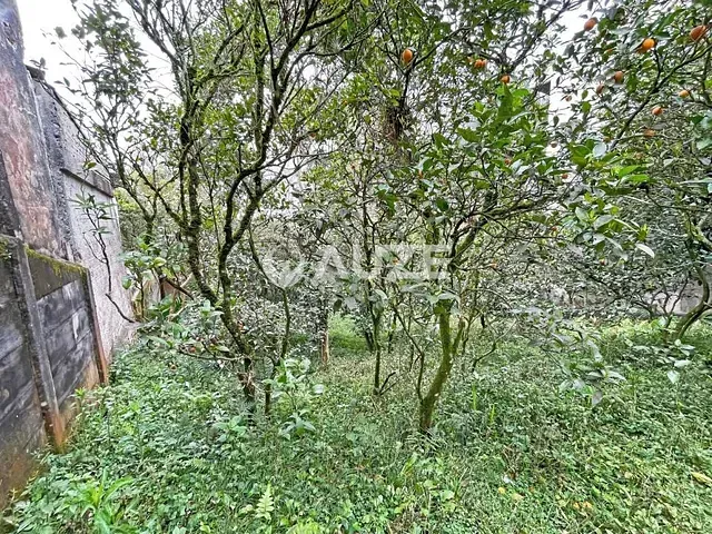 Terreno com 486m², à venda, no bairro Vista Alegre em Curitiba