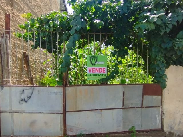 Terreno com 100m², à venda, no bairro Paulo Lopes em Cambuí