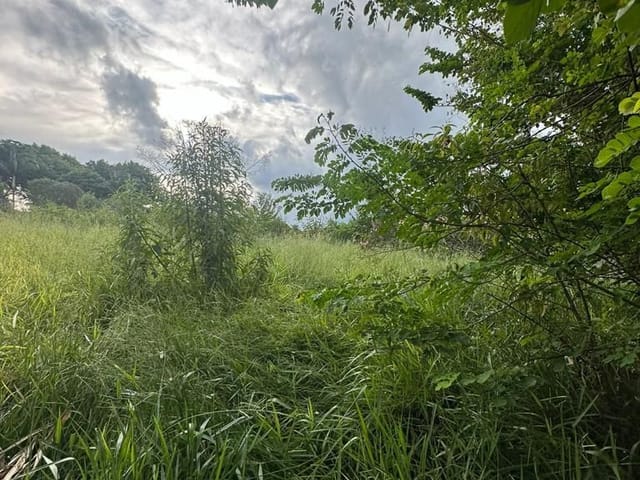 Terreno com 1400m², à venda, no bairro Roseira em Extrema