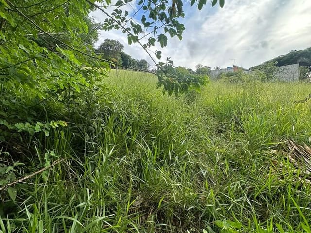 Terreno com 1400m², à venda, no bairro Roseira em Extrema