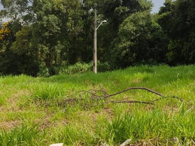 Foto do Terreno - Terreno à venda, Jardim Aeroporto, ideal para investidores e construtores,Apucarana, PR | J. Mareze Imóveis Ltda